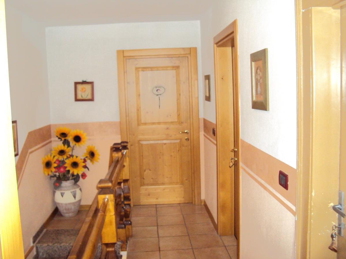 La Casa Di Beppe Appartamento E Camere Danta Eksteriør billede