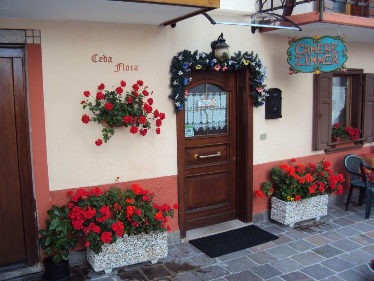 La Casa Di Beppe Appartamento E Camere Danta Eksteriør billede